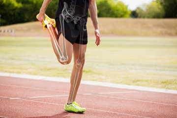 Delving Into Strength: Exploring the Link Between Vitamins and Bone Health