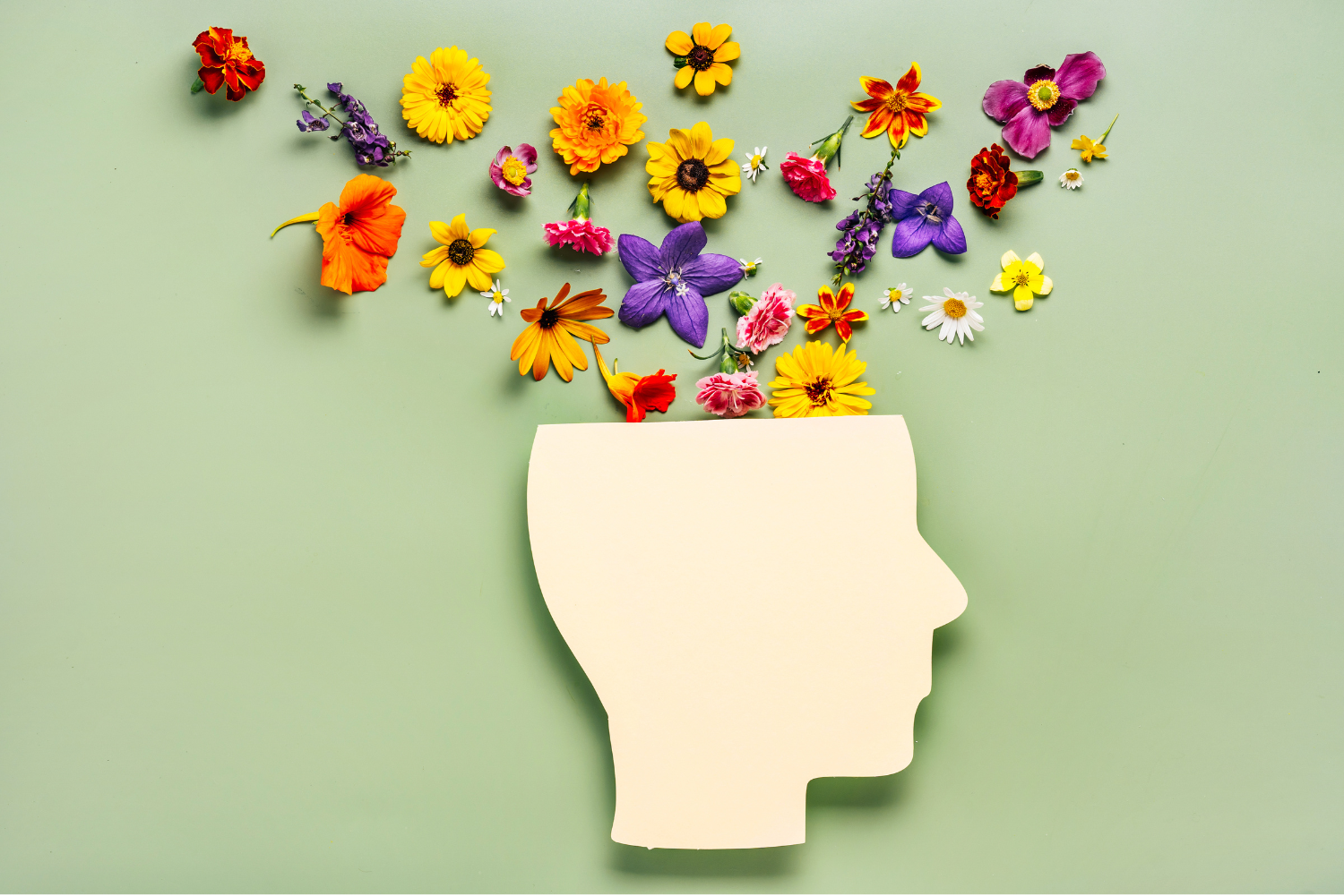 Boost Your Brainpower: Uncover the Ultimate Foods for a Vibrant Mind & Enhanced Memory